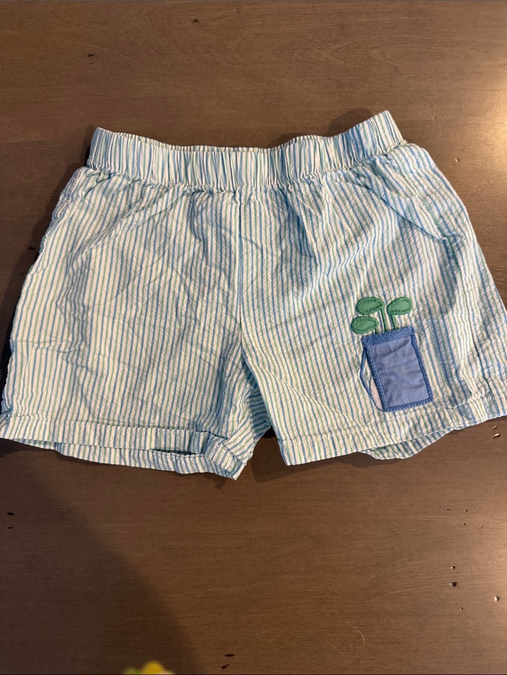 Little English Blue and White Striped Kids Shorts with Pocket Applique